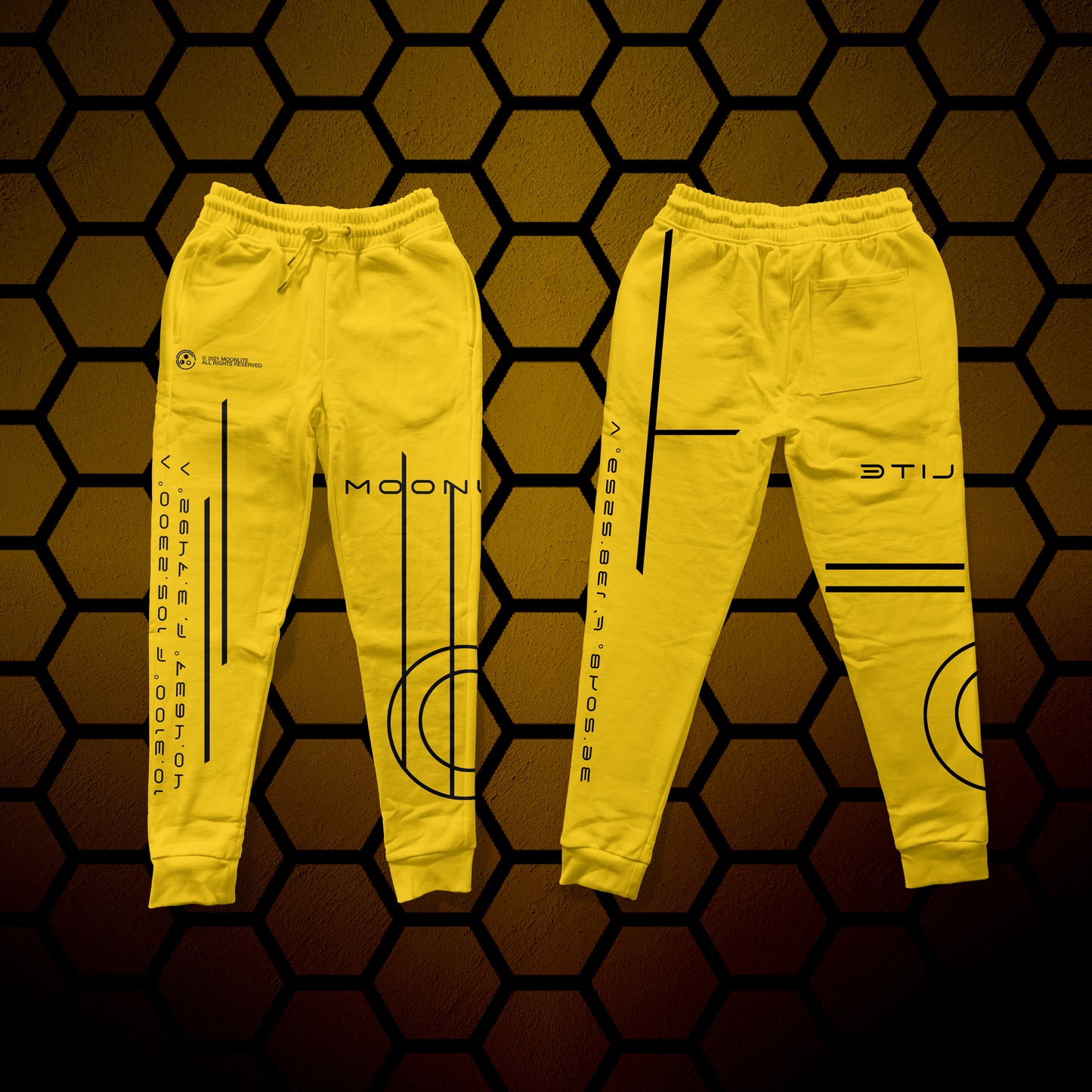 World Coordinate Joggers